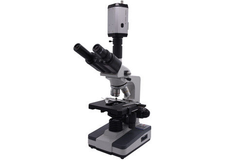 Biológico video del CCD 40X 0,65 Live Blood Analysis Microscope Digital de WF10X