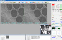 Resolución EBSD EBSD del microscopio electrónico de exploración 8X-300,000X 3-6nm