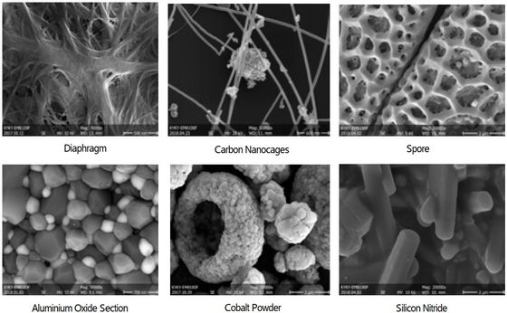 Resolución del microscopio electrónico de exploración de la ampliación 6X-1000000X 1-3nm