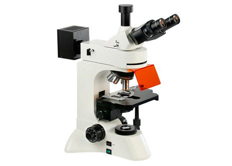 WF10X/22mm llevó 4X invertido microscopio fluorescente 10X 360 grados