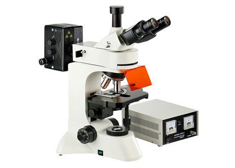 El infinito Epi de la cámara llevó la investigación fluorescente de la genética del ocular del microscopio WF10X