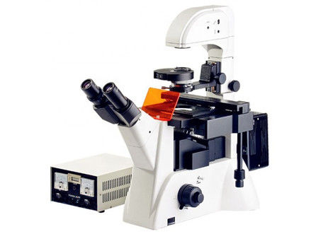 Microscopio invertido Edu Science Microscope 1200x 20X del laboratorio de biología de la fluorescencia