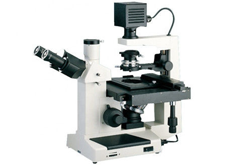 lámpara del halógeno de Trinocular 10X/0.2 6V 20W del microscopio invertido del cultivo celular 40X/0.6