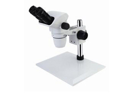 Microscopio estéreo WF10X/22mm binocular del enfoque de lo cuadrado sin la iluminación