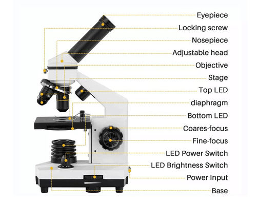 ODM monocular de Biological Microscope 640X del estudiante de Drawtube