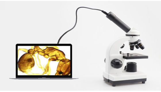 ODM monocular de Biological Microscope 640X del estudiante de Drawtube