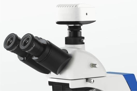 Posición polarizante integrada del microscopio biológico 4 del laboratorio del campo oscuro