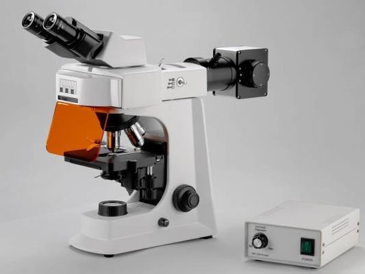 Microscopio biológico del laboratorio blanco de Trinocular con la etapa mecánica