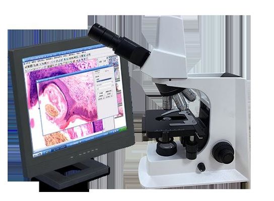 Microscopio biológico del laboratorio blanco de Trinocular con la etapa mecánica