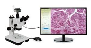Cámara digital del microscopio de la transferencia de 60FPS WiFi 4 grupos de la exhibición del retículo