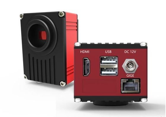 Cámara digital del microscopio de HDMI 60FPS con el interfaz de red del gigabit