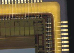 Velocidad de fotogramas máxima de la cámara 22FPS del microscopio del pixel los 5M USB 2,0 Digital